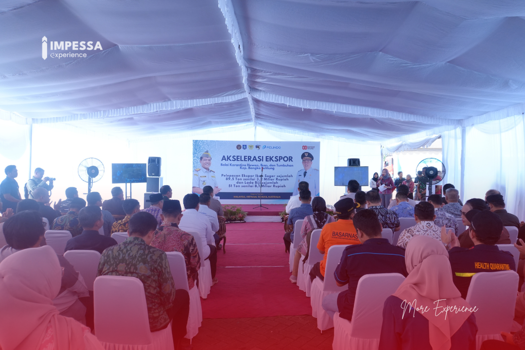 Outbound - Outboundbangka - outboundbelitung - outbound lampung - outbound Bogor - capacity building - capacity building bangka - capacity building Belitung - capacity building lampung - capacity building Bogor - team building - team building bangka - team building Belitung - team building lampung - team building Bogor - corporate gathering - corporate gathering bangka - corporate gathering Belitung - corporate gathering lampung - corporate gathering Bogor - family gathering - family gathering bangka - family gathering Belitung - family gathering lampung - family gathering Bogor - outdoor training - outdoor training bangka - outdoor training Belitung - outdoor training lampung - outdoor training Bogor - outbound training - outbound training bangka - outbound training Belitung - outbound training lampung - outbound training bogor - outbound bangka Belitung - experiential learning - experiential tourism - AELI - outbound Indonesia - team building program